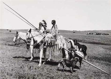 The Curse that Haunts Native American Dogs: A Historical Perspective
